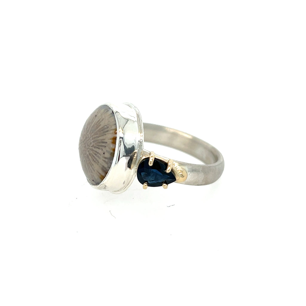 Fossilized Coral & Sapphire Ring